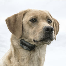 Load image into Gallery viewer, SportTrainer® 425X