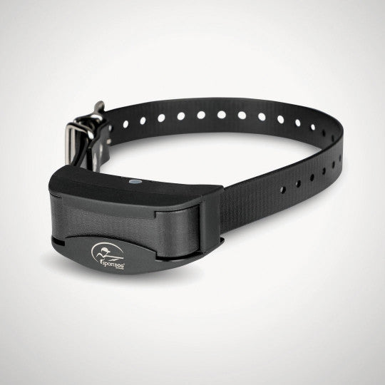 Sportdog collar blinking red hot sale