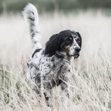 Load image into Gallery viewer, SportTrainer® 1825X